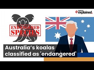 Why Australia Has Listed Koalas As Endangered Species | Express Explained