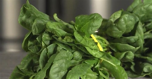 EPA approves new pesticide with PFAS, sparking health concerns