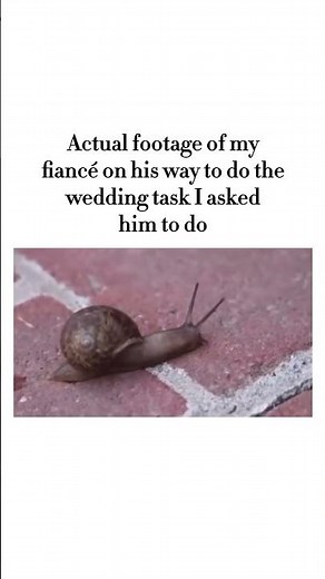 🤣🤣 #wedding #weddingideas #bridegroom #brideandgroom #groom #weddingtips #weddingplanning