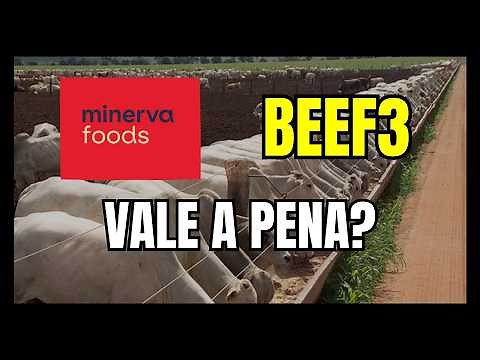 BEEF3 MINERVA FOODS OPPORTUNITY?
