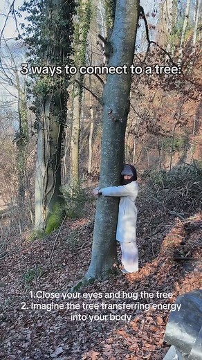 Thewizardliz on Instagram: "Imma be living in a tree from now on"