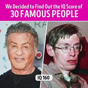 We Decided to Find Out the IQ Score of 30 Famous People | CelebRatings