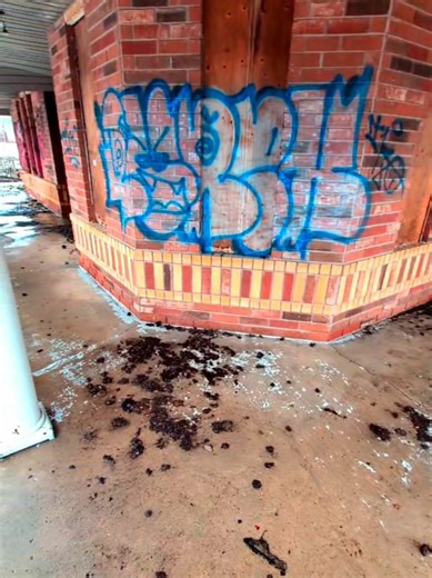 What's shittier? 😂 the graffiti tags or the raccoon feces falling through the roof?