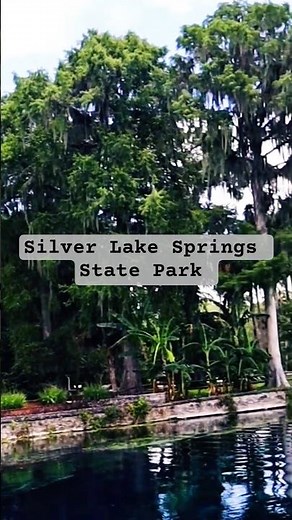 Unbelievable Facts About Silver Springs State Park
