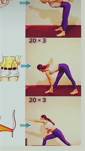 Weight loss exercise at home | Belly fat loss exercise | Weight loss exercise at home for women |#yt