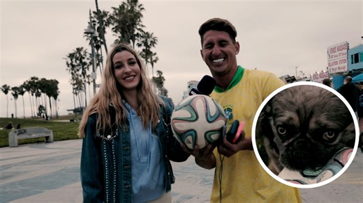 2.9K views · 31 reactions | A 2014 Brazil World Cup ball, which traveled to more than 20 countries and was worth nearly $200, was destroyed by a dog after an afternoon of freestyle at Venice Beach ⚽️ #beINSPORTS | beIN SPORTS USA | Facebook