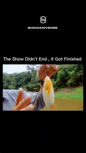 Shockkinverse on Instagram: ""River Monsters" remains one of the most iconic wildlife series ever made, blending true crime mystery with extreme fishing. Hosted by the fearless biologist Jeremy Wade, the show took viewers into the world's most remote and murky waters to investigate terrifying local legends of man-eating beasts. From the razor-toothed Goliath Tigerfish to the massive Arapaima, Wade risked his life to reveal the real creatures behind the myths. In a legendary mic-drop moment for t