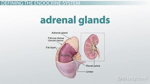 You must c C reate an account to continue watching