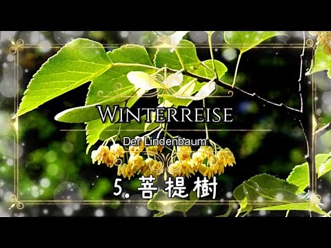 冬の旅05 《菩提樹》 "Der Lindenbaum” 【ドイツリート/字幕で聴く歌曲】シューベルト