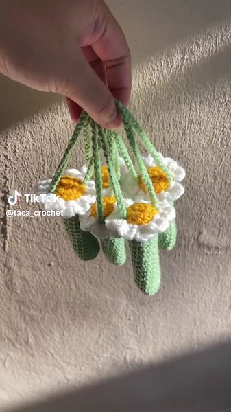 Taca Crochet on TikTok