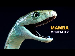 The Legend of the Black Mamba | Kobe Bryant 'Mamba Out' | Love Nature