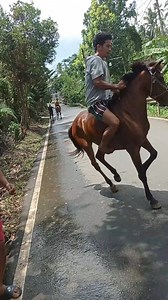 734K views · 2.8K reactions | Bloopers - Horse racing  P.S No animals were harmed in this video | Patrick Rodanillo | Facebook