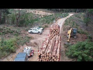 NEW ZEALAND LOGGING TEASER 2020