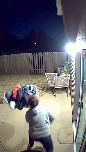 Nighttime Coyote Shock! Dog Saves Family #CoyoteAlert #SuburbanSecurity