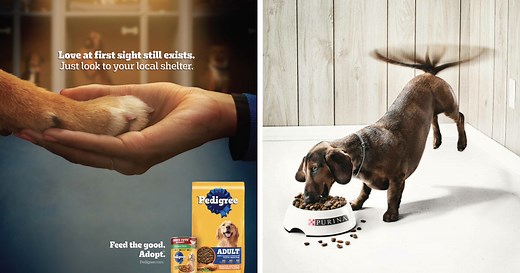 Paw-Sitive Impact: 29 Iconic Dog Ads That Stole Hearts Globally