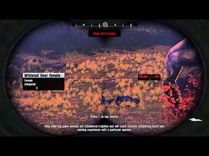 Cabela's Big Game Hunter Pro Hunts - Intro & Tutorials [PC]
