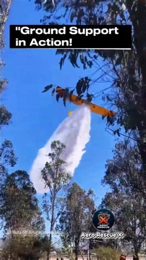 Hero in the Trees! ✈️ Air Tractor AT-802 Low Pass! #shorts #aviation #firefighter #viral #fyp