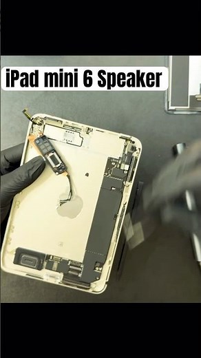 How To Replace Speaker On iPad Mini 6 🔊