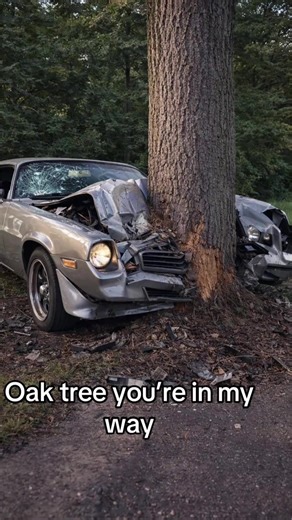 #capcutpioneer Al filter tutorial to create fake car shock joke and Al effect of the instant before disaster. I made a fake car shock joke, here is the tutorial to create the Al effect of