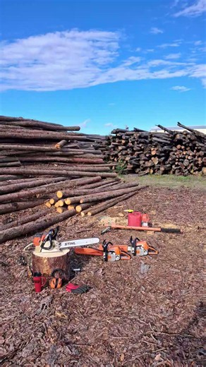 Wood Brotha's, North Pole, AK "I Dont Wanna Stop" Ozzy Osborne