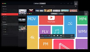 Universal video format for mac and pc