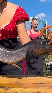 177K views · 4.5K reactions | The Queen of Reservoirs is a Pike! 3 Recipes That Will Increase Your Love for Fish by 99% | Victoria in the kitchen | Facebook