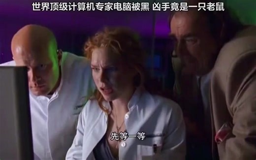 顶级计算机专家电脑被黑，凶手竟是一只老鼠！