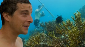1.2M views · 71K reactions | En medio del ambiente marino más rico del planeta, Bear Grylls emplea sus habilidades de supervivencia para sumergirse en los arrecifes de coral e intentar conseguir alimento que le permita continuar su aventura ¿Cómo le irá?錄 #APruebadeTodo | Discovery en Español | Facebook
