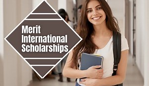 Merit Scholarships for International Students at Illinois Institute of Technology, USA