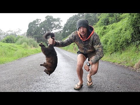 Turning ROADKILL into a 5-STAR MEAL (With roadside herbs)