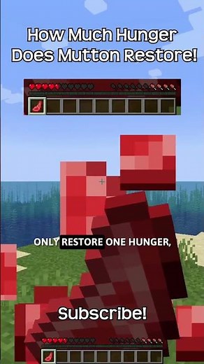How Much Hunger Does Mutton Restore In Minecraft!