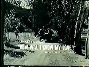 Annette Funicello "How Will I Know My Love?" Commercial
