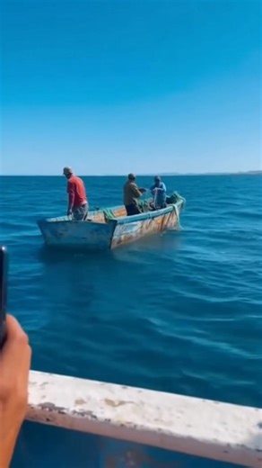 8.5K views · 145 reactions | When the ocean suddenly explodes and everyone on the tour boat starts screaming  This is the closest you’ll ever get to a real orca strike. #OceanLife #WildMoments #RealOcean #OrcaWorld | Orca Chronicles | Facebook