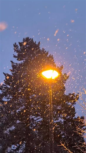 [EN DIRECT] ❄️ La neige est de retour dans le centre-ville de Gérardmer ! Juste à temps pour les vacances de la zone B 🎒⛄ #gerardmertourisme #tourisme #jevoislavieenvosges #destinationgerardmer #vosges #gerardmer | Gérardmer Tourisme