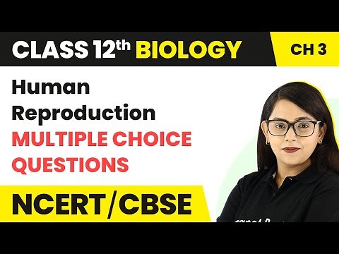 Class 12 Biology Chapter 3 MCQ (100+ Solved) | Human Reproduction Class 12 MCQ Solutions (2022-23)