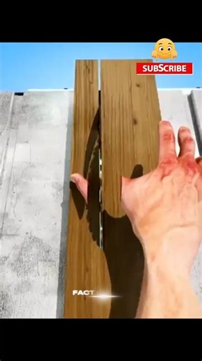 "What will happen if your hand gets stuck in the table cutter"??