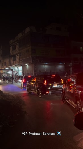 WW Protocol Services on Instagram: "VIP Protocol Available"