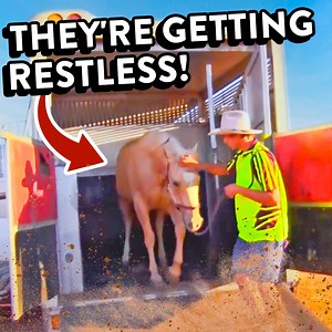 Young trucker faces one of the toughest jobs of his career | Outback Truckers