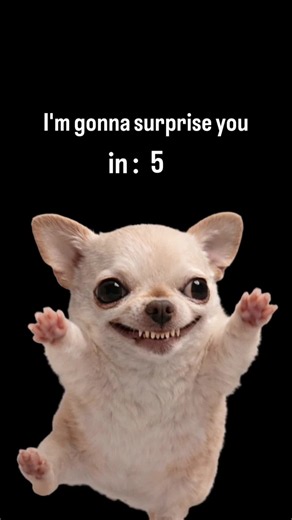 😂 Daily Evil & Hilarious Memes 🐶 EVIL DOG — Official Meme Page 😈 Dark Humor | Sarcasm 🛍️ EVIL DOG Clothing & Merch ⬇️ Official Merch Store ➡️ evildog-shop.fourthwall.com 🧸 EVIL DOG Plush Pillow ⬇️ Buy the Official Plush ➡️ evildogofficial.com