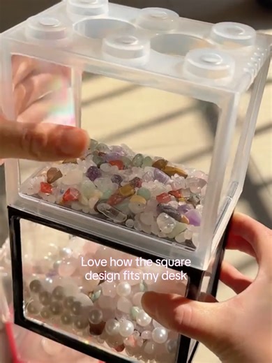 Building a Mini Betta Fish Aquarium: A Complete Guide