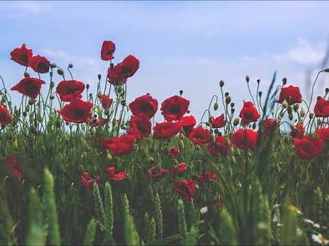 クラシックピアノの名曲30曲メドレー