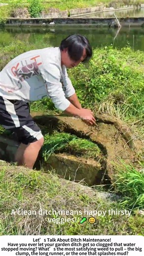 Ditch Weeding – Keeping Water Flowing to Your Vegetables! 🌿💧