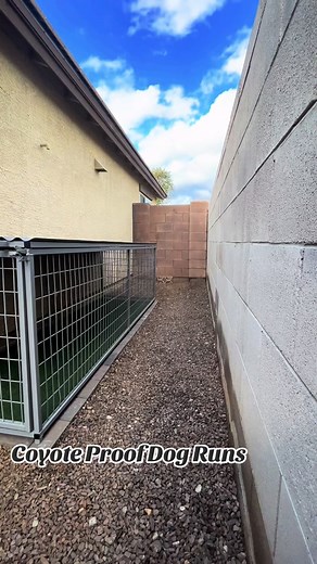 Coyote Proof Dog Runs: Keep Your Pup Safe & Secure