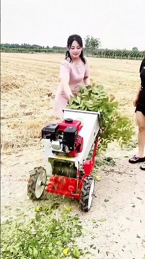 Chaff cutter machine price on sale #fcnfm #farmmachine