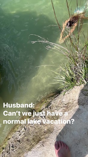 11K views · 349 reactions | My friend Mermaid Sirenity shared the cutest married life clip today and It reminded me of the shenanigans I put my husband through. We have have been married for four years and try to visit a new place for our anniversary every year. So far all of the places have been….aquatic. Coincidence? Definitely not. 樂Finfolk Productions #mermaidlife #lakejocassee #thereshegoesagain | The Virginia Mermaid | Facebook