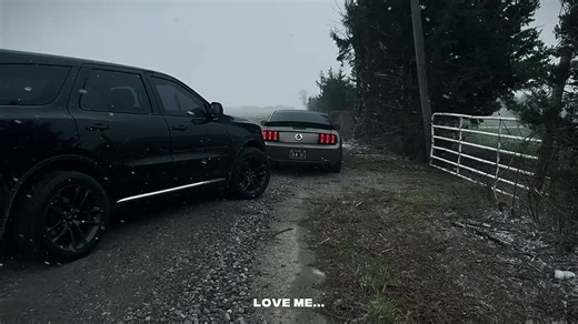 Experience the Power of Ford, Dodge, and Mustang