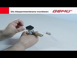 Maintenance/Instandhaltung: Diaphragm replacement DN4-DN300 [one piece and 5E] (English)