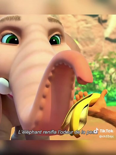 Recommandations d'animation à ne pas manquer