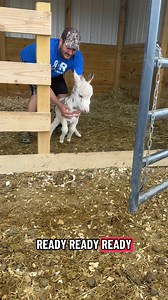 Rocky Release 😂 | Clutch of Color LLC