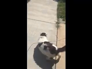 Robyn Taylor Brownlow on Reels